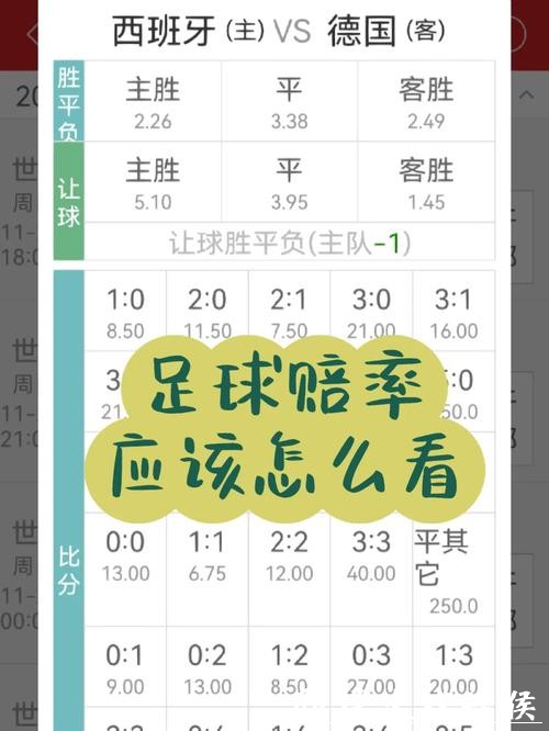 世界杯投注赔率解析与技巧